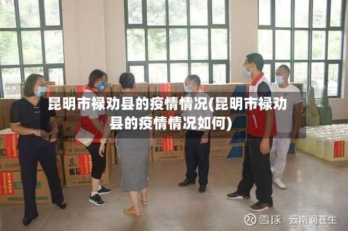 昆明市禄劝县的疫情情况(昆明市禄劝县的疫情情况如何)-第1张图片