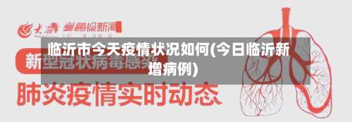 临沂市今天疫情状况如何(今日临沂新增病例)-第3张图片