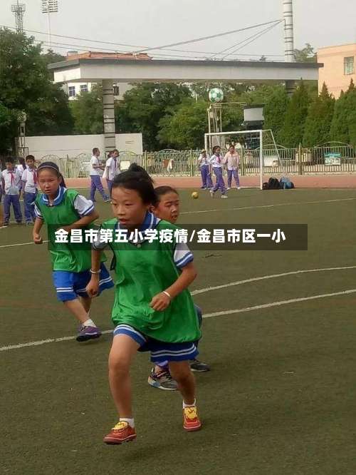 金昌市第五小学疫情/金昌市区一小-第2张图片