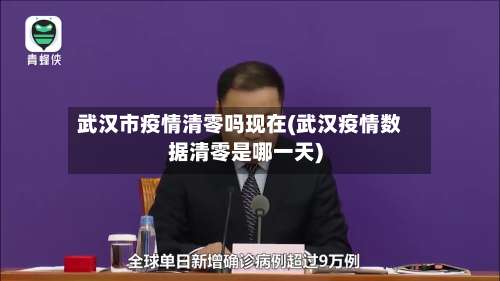 武汉市疫情清零吗现在(武汉疫情数据清零是哪一天)-第2张图片