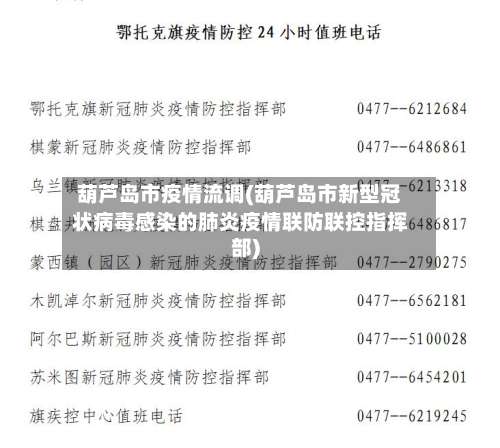 葫芦岛市疫情流调(葫芦岛市新型冠状病毒感染的肺炎疫情联防联控指挥部)-第1张图片
