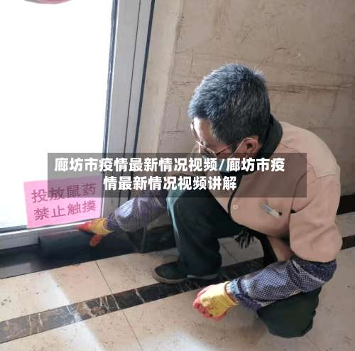 廊坊市疫情最新情况视频/廊坊市疫情最新情况视频讲解-第1张图片