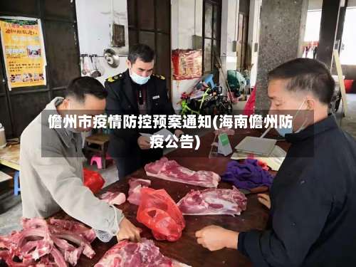 儋州市疫情防控预案通知(海南儋州防疫公告)-第1张图片
