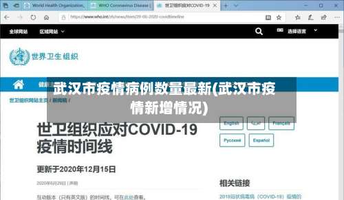 武汉市疫情病例数量最新(武汉市疫情新增情况)-第2张图片
