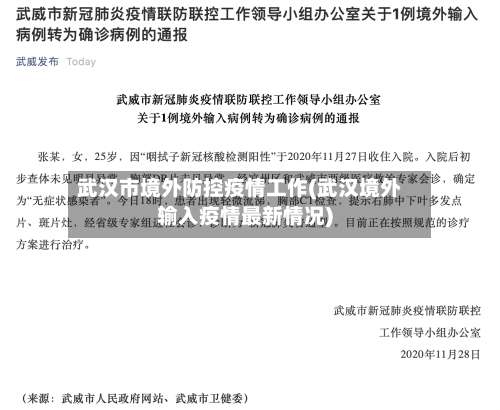 武汉市境外防控疫情工作(武汉境外输入疫情最新情况)-第3张图片