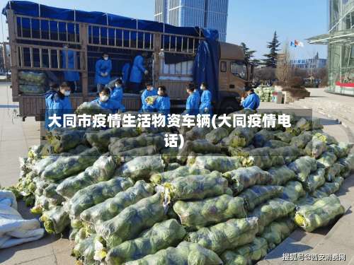 大同市疫情生活物资车辆(大同疫情电话)-第2张图片