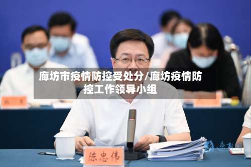 廊坊市疫情防控受处分/廊坊疫情防控工作领导小组-第1张图片