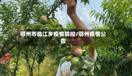 鄂州市临江乡疫情防控/鄂州疫情公告-第3张图片