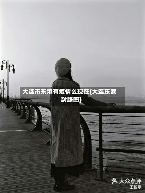 大连市东港有疫情么现在(大连东港封路图)-第1张图片