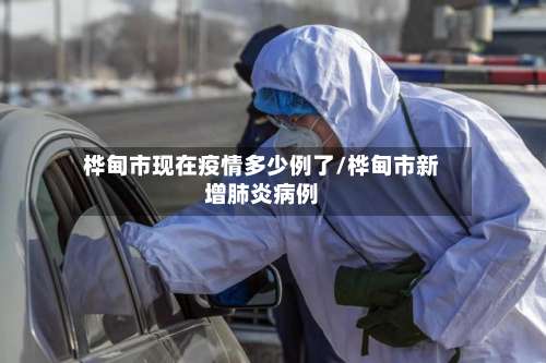 桦甸市现在疫情多少例了/桦甸市新增肺炎病例-第3张图片