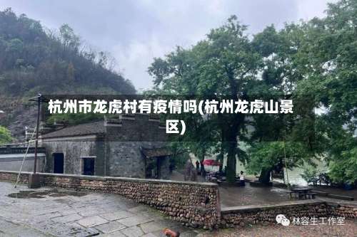 杭州市龙虎村有疫情吗(杭州龙虎山景区)-第1张图片