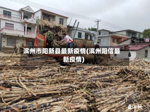 滨州市阳新县最新疫情(滨州阳信最新疫情)-第1张图片