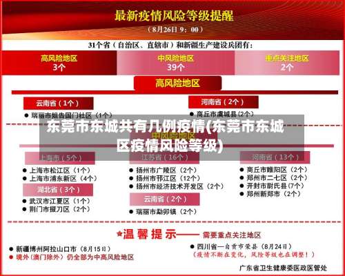 东莞市东城共有几例疫情(东莞市东城区疫情风险等级)-第2张图片