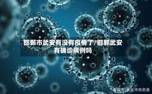 邯郸市武安有没有疫情了/邯郸武安有确诊病例吗-第2张图片