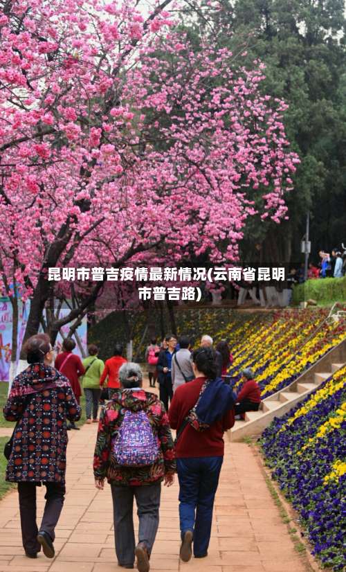 昆明市普吉疫情最新情况(云南省昆明市普吉路)-第2张图片