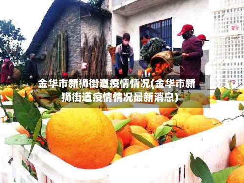 金华市新狮街道疫情情况(金华市新狮街道疫情情况最新消息)-第2张图片