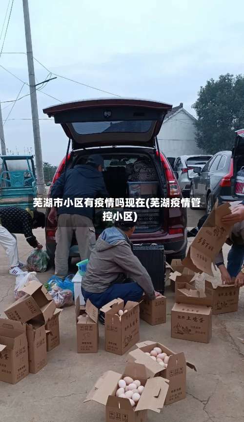 芜湖市小区有疫情吗现在(芜湖疫情管控小区)-第3张图片