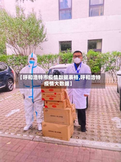 【呼和浩特市疫情数据表格,呼和浩特疫情大数据】-第1张图片